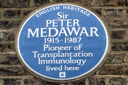 Medawar, Peter (id=731)